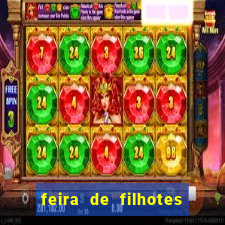 feira de filhotes porto alegre